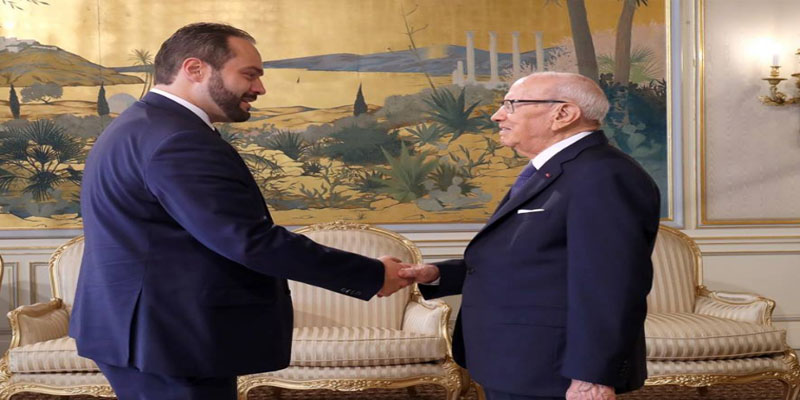 رئيس الجمهورية يستقبل رئيس البعثة الأوروبية لمراقبة الانتخابات البلدية بتونس 